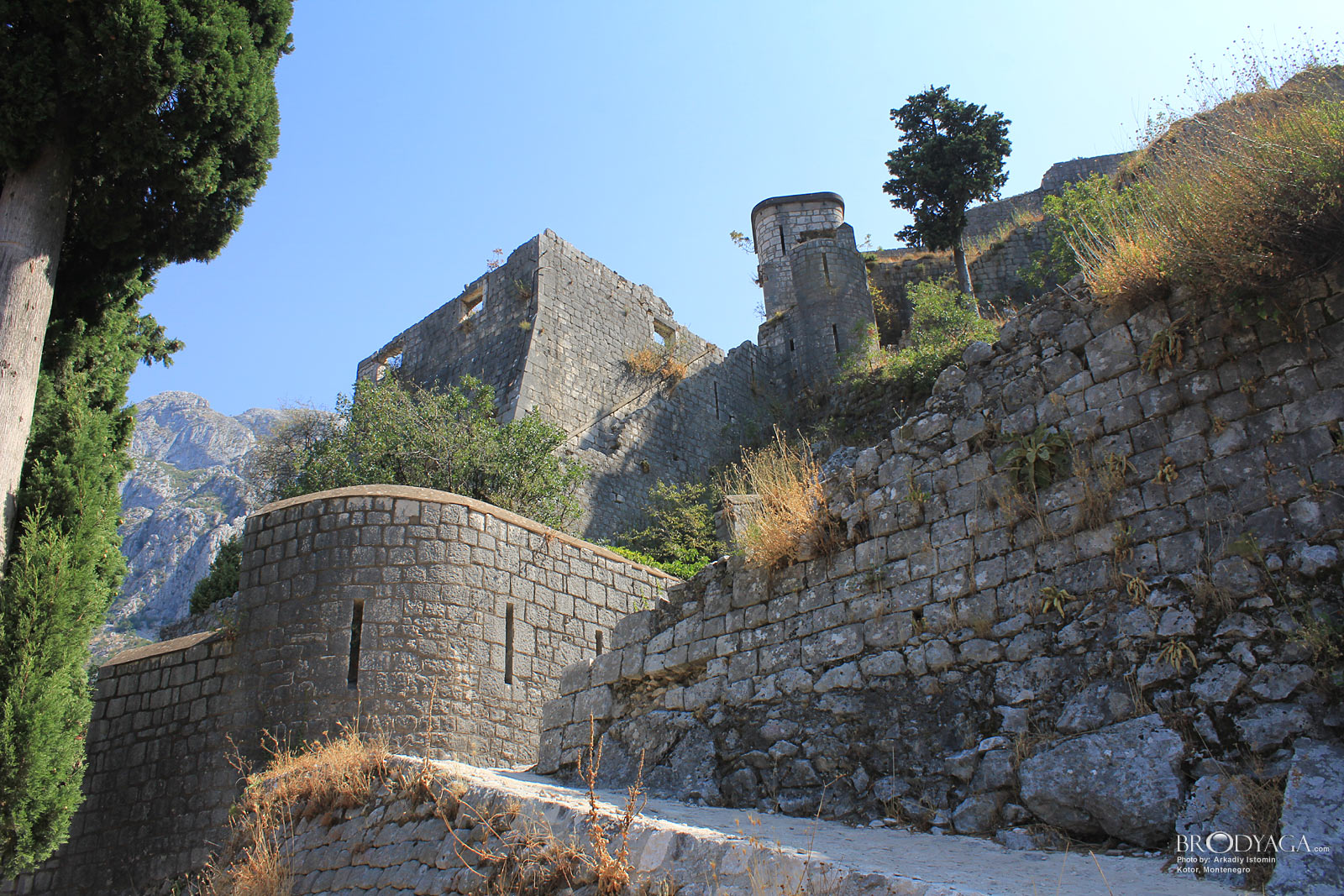 Kotor